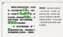 初三叙事作文：那些特殊的日子_900字