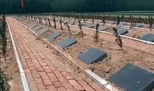 为过去的一年办场葬礼