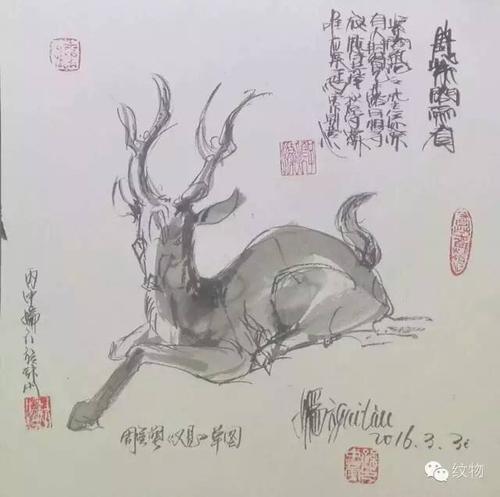霍森省霍森报纸忘了蹲下。