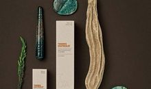 《童趣》改编_1000字