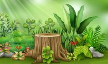 植物的生长和太阳有关吗_900字