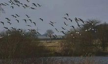 人生如寄，何事辛苦怨斜晖。