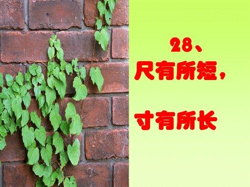 脚很短，英寸有很长的