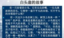 珍惜所拥有的青春_700字