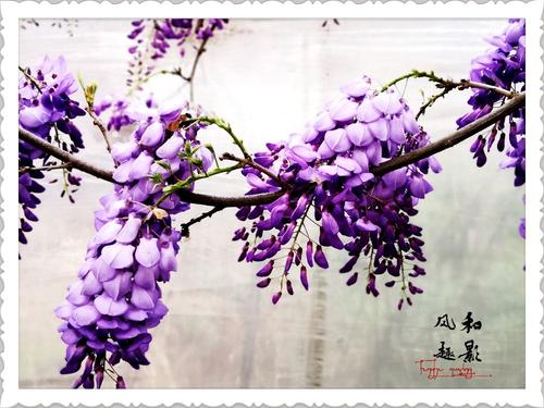 如果钢琴上有钢琴，你为什么不这么说？