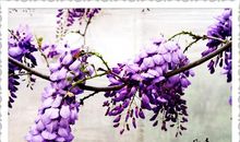 若言琴上有琴声，放在匣中何不鸣？