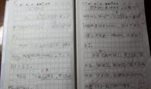 小熊宝宝放风筝_200字