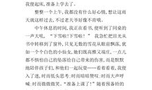 2009年第一场雪作文_550字