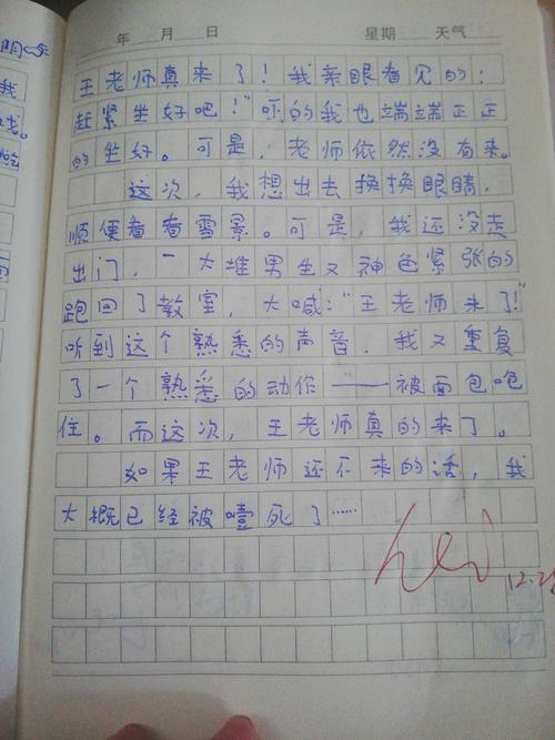 狼来了 - 兔子日记_400字