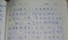 狼来了——兔兔日记_400字