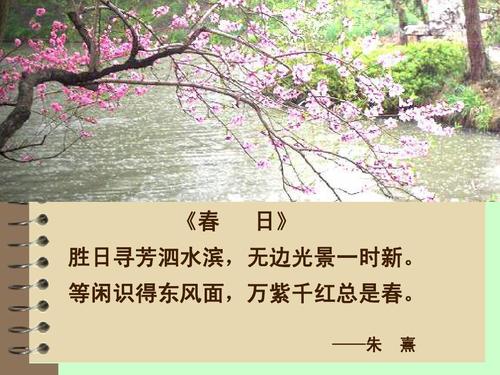 等待东风，万紫房总是春天