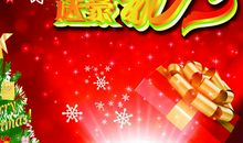 欢乐圣诞节_300字