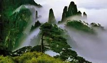 不识庐山真面目，只缘身在此山中。