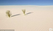 不积小流，无以成江海。