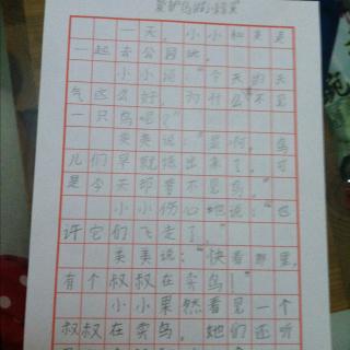 用鸟的组成：彩色鸟_450字