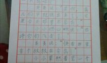 关于鸟的作文：五彩鸟_450字