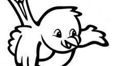 关于鸟的作文：放鸟_550字