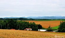 自然之韵_1000字