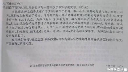 鸟类上的组成：宠物_550字