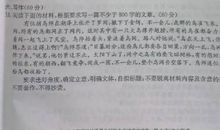 关于鸟的作文：宠鸟_550字