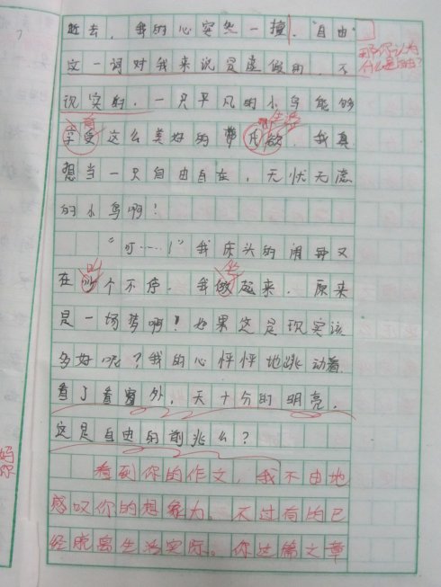 关于鸟的作品：我见过鸟_650字
