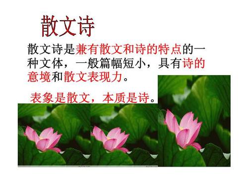 “湖，母亲” - “孙·母亲”_400字