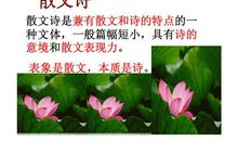 《荷叶·母亲》——《太阳·母亲》_400字