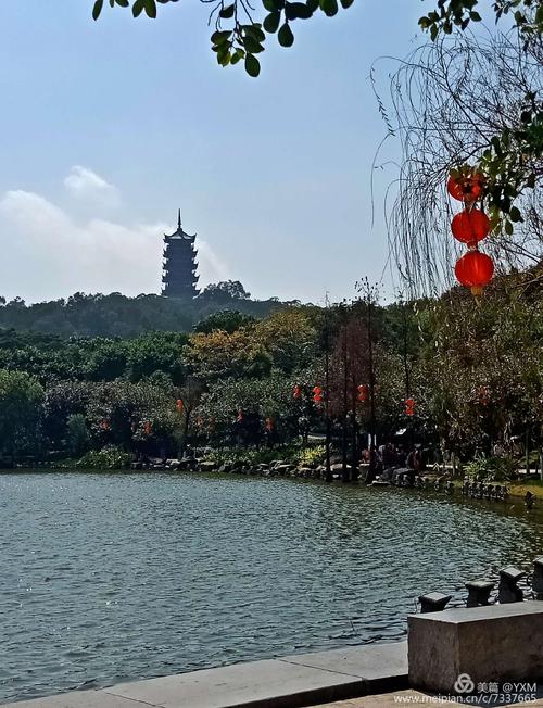 旅游齐兰虎_350字