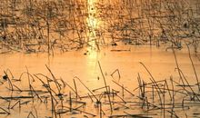 初冬，初动，初懂_1200字