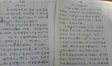 网络_800字