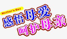 母亲的呵护_650字