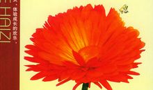 素质教育的春天——素质教育论坛随感_3000字