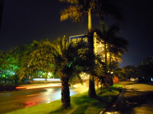 Gulangyu夜视_100字