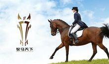 一马失天下_450字