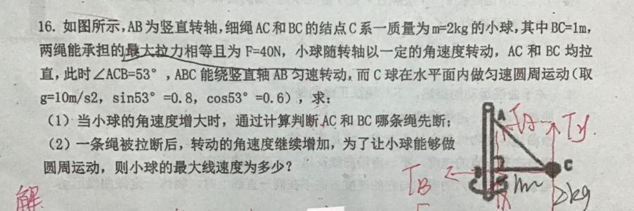可爱的物理老师_250字