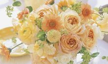 感谢花的沐浴_600字