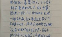 关于幻想的作文：我想象中的美羊羊_450字