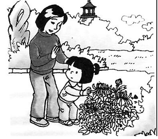 不要挑选鲜花_150字