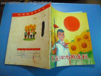 派对是一个阳光，我是一朵花_750字