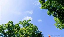 关于夏天的记忆