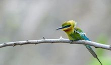 卑微孩子的絮语