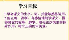 我应该感到自豪才对续写（一）_400字