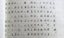 我应该感到自豪才对续写（四）_450字