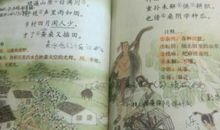 《乡村四月》古诗改写（二）_450字