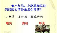 我应该感到自豪才对续写（五）_400字