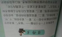 高二状物作文：我爱银杏树_700字