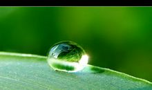 一滴水的诉说_350字