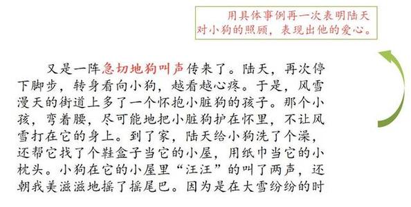 我是我母亲下的鸡蛋。