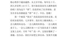 “难以捉摸”的我_450字