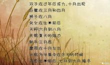 感谢好心人_800字